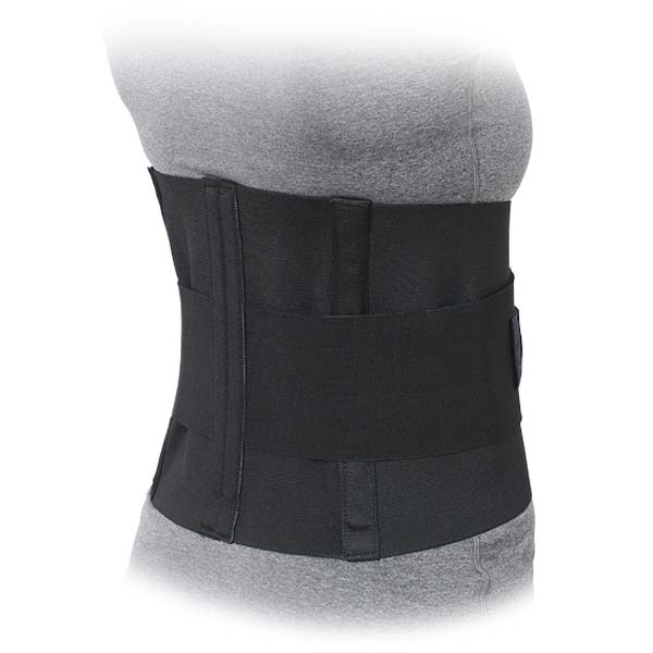 Lumbar Sacral Support product photograph